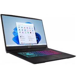 MSI Katana 17 B13UCRK-1603PL - i5-13420H 17,3'' 16GB