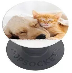 Uchwyt i podstawka do telefonu Popsockets 2 Cat