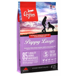Orijen Puppy Large 11.4 kg - sucha karma