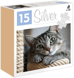 Alexander gry, silver puzzle 12 el. kot