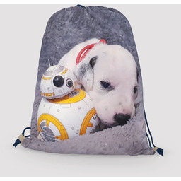 Worko-plecak pies dalmatyńczyk i star wars