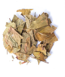 Ginkgo biloba liść cały 50g