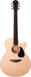 Furch Violet Gc-SM+LR Baggs SPE Master Choice