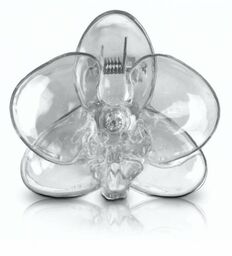 Przezroczyste transparentne klipsy spinki klamerki do storczyków Orchid