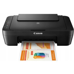 Canon Pixma MG2551S