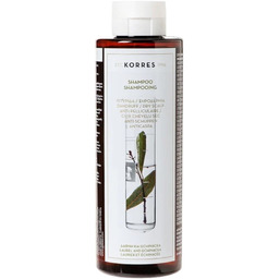 Korres Shampoo Laurel and Echinacea Szampon przeciwłupieżowy