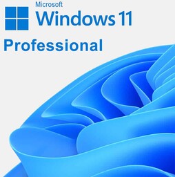 Microsoft Windows Pro 11 64 bit OEM DVD