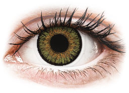 FreshLook One Day Color Pure Hazel - zerówki