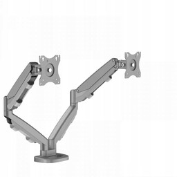 Ramię na 2 monitory Eppa Fellowes srebrne 9683301