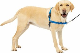 PetSafe Uprząż dla psa Easy Walk.