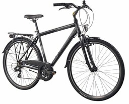 INDIANA Rower trekkingowy X-Road 1.0 M21 28 cali