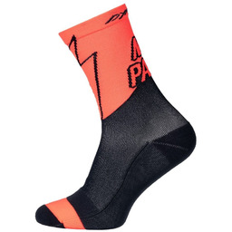 Dynafit Skarpety do biegania No Pain No Gain