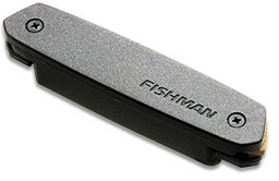 Fishman Neo-D Magnetic Single Coil PRO-NEO-D01 Przetwornik gitarowy