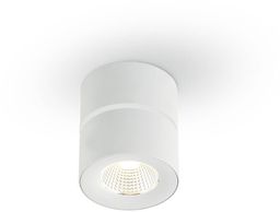 Oprawa natynkowa LED regulowana Mone bianco tuba biała