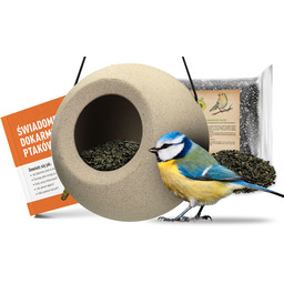 Nowoczesny, minimalistyczny karmnik na ziarno, nasiona dla ptaków