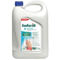 Ludwik płyn do naczyń 5 L aloes