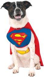 Rubie''s Unisex dorosły DC Comics Classic Superman Pet