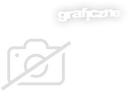 PhotoMirage (Windows) - nowa licencja, komercyjna, wiecz., elektr.