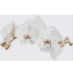 Płytka ścienna inserto MARISOL white flower glossy 8mm