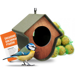 Nowoczesny karmnik dla ptaków na masło orzechowe, kule