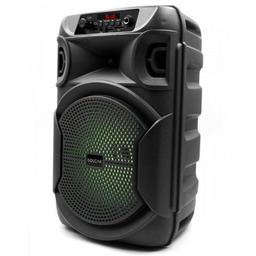 SQUEAK Głośnik Bluetooth 5.3 EDR PulseTower 1000W Funkcja