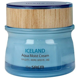 The Saem ICELAND AQUA Moist Cream Krem