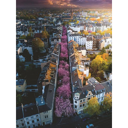 Ravensburger 12000730 - Bonn. Niemcy - puzzle 1500