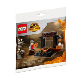 LEGO Jurassic World 30390 Targ dinozaurów