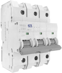 C125A 3P 10kA Wyłącznik nadprądowy bezpiecznik eska PR123