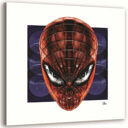 Obraz na płótnie, Spider-Man - Rubiant 40x40