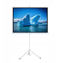 EKRAN RĘCZNY NA STATYWIE 118'' 213x213cm TA-84 1:1
