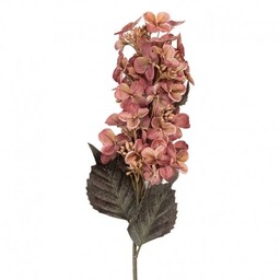 Sztuczne Kwiaty Suszone 70 cm A Clayre &