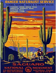 Wee Blue Coo Podróżny pomnik Saguaro pustyni kaktus