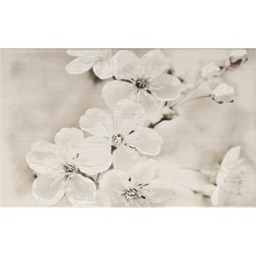 Płytka ścienna inserto GRYFIN light grey glossy 25x40