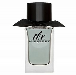Burberry Mr. Burberry woda toaletowa dla mężczyzn 100