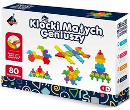 ASKATO Klocki plastikowe Klocki małych geniuszy 125220