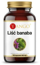 Liść banaba - 90 kaps Yango