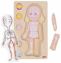 Drewniana układanka anatomia ciała dziewczynka Goki 57362