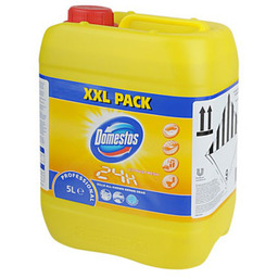 Domestos Professional Citrus Fresh 5 l
