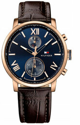 ZEGAREK MĘSKI TOMMY HILFIGER 1791308 (zf075a)