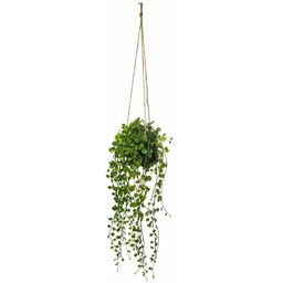 Atmosphera Sztuczny kwiat w doniczce Peperomia, wiszący, Ø
