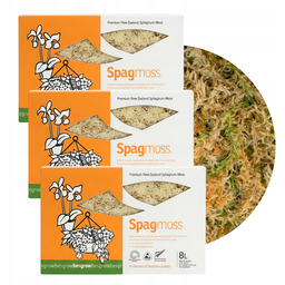 Mech Sphagnum Torfowiec Besgrow SpagMoss 3x 100g 24L