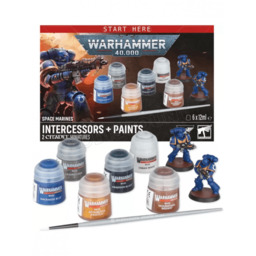 Warhammer 40,000 - Space Marines: Intercessors + Paints