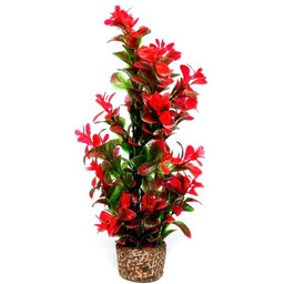 HOBBY Sztuczna roślina akwariowa Flora Stone 7 (51536)