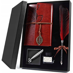 Pióro Do Pisania Notatnik Atrament Uchwyt Pióra Zestaw