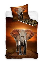 Carbotex Pościel bawełniana 160x200 Słoń Africa poszewka 70x80