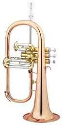 Cerveny VFC-FH6232R-OK Flugelhorn Bb