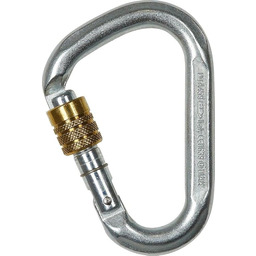 Climbing Technology Uniseks Snappy Steel Sg Karabinek, Srebrny/Złoty,