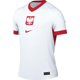 Nike Męska koszulka Pol M Nk DF JSY