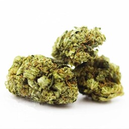 Susz CBD 11,4% White Widow 2g Cbweed